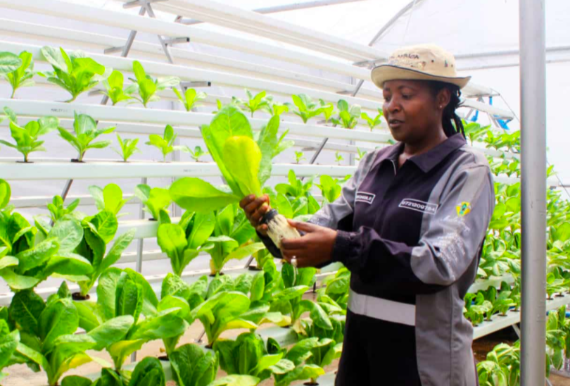 Screenshot 2022-01-14 at 10.36.05.png